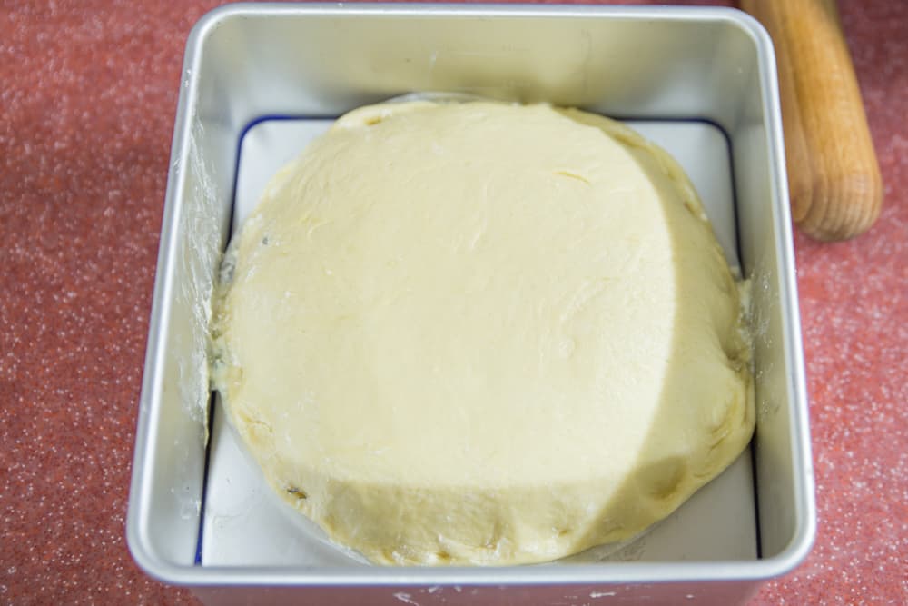 خطوة 12