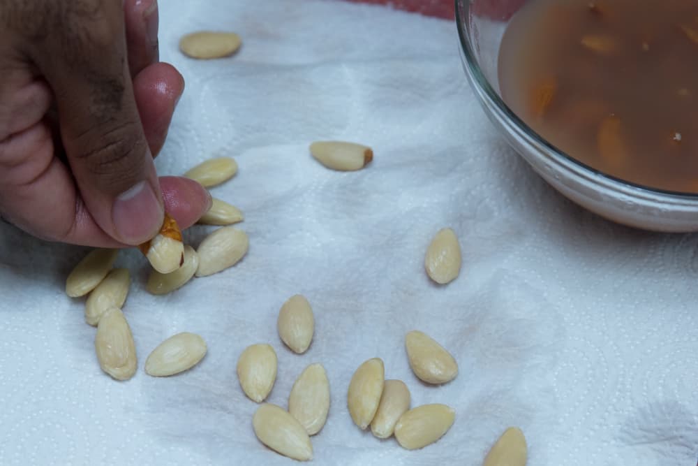 خطوة 8
