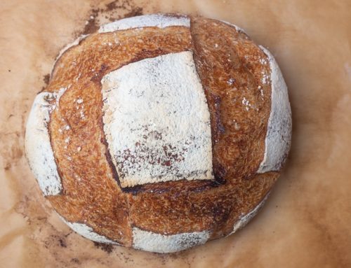 خبزة ريفية محضرة من الخميرة البرية والفورية